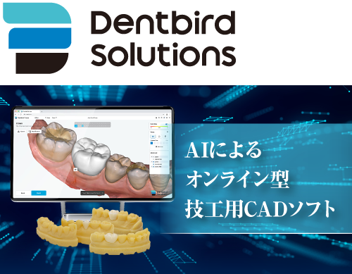 Dentbird Solutions